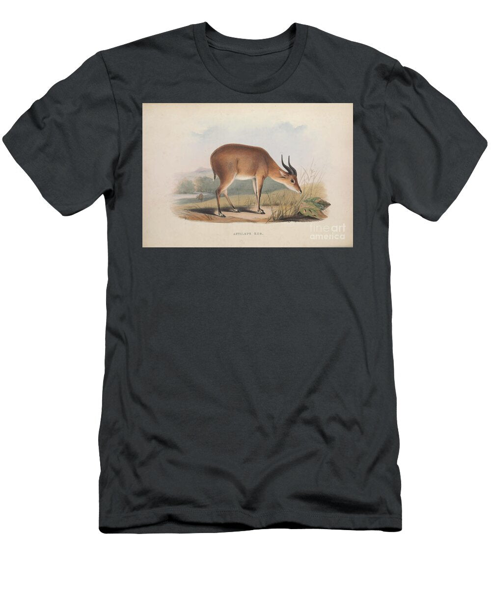 Antelope Kob Zoologia Typica Q1 Historic Illustrations T-Shirt