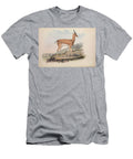 Antelope Zoologia Typica Q1 Historic Illustrations T-Shirt