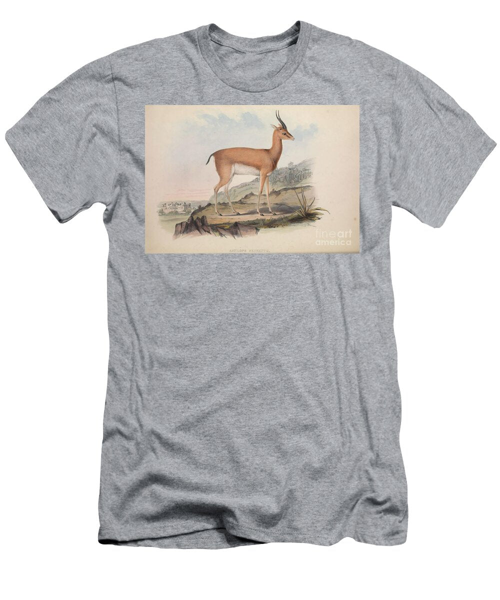 Antelope Zoologia Typica Q1 Historic Illustrations T-Shirt