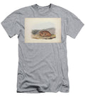 Antelope Zoologia Typica Q2 Historic Illustrations T-Shirt