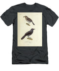 Antshrike of South America 1835 U1 Historic Illustrations T-Shirt