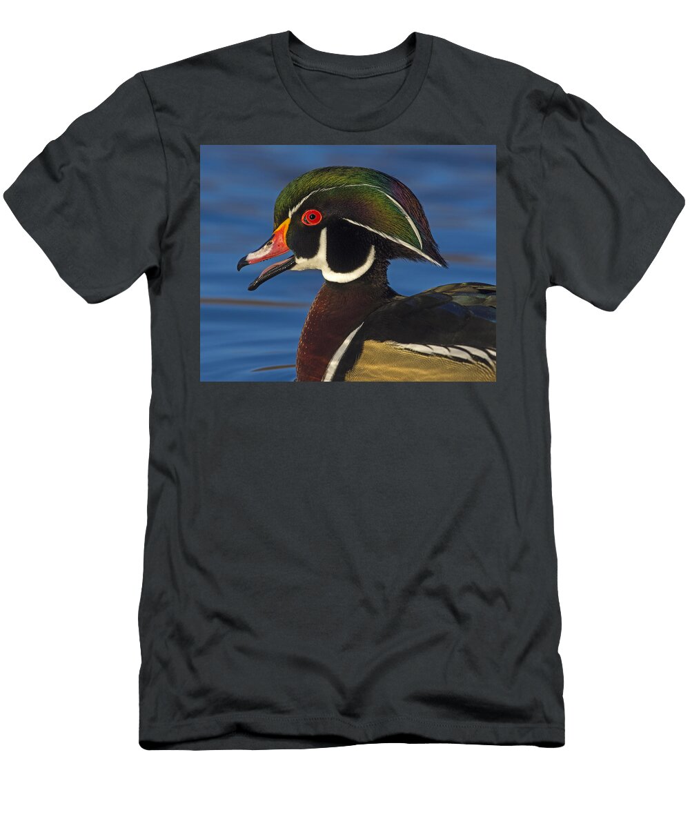 Anvil Tony Beck T-Shirt