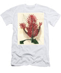 Aphelandra Arborea Crested Aphelandra Aphelandra Cristata Sydenham Teast Edwards T-Shirt