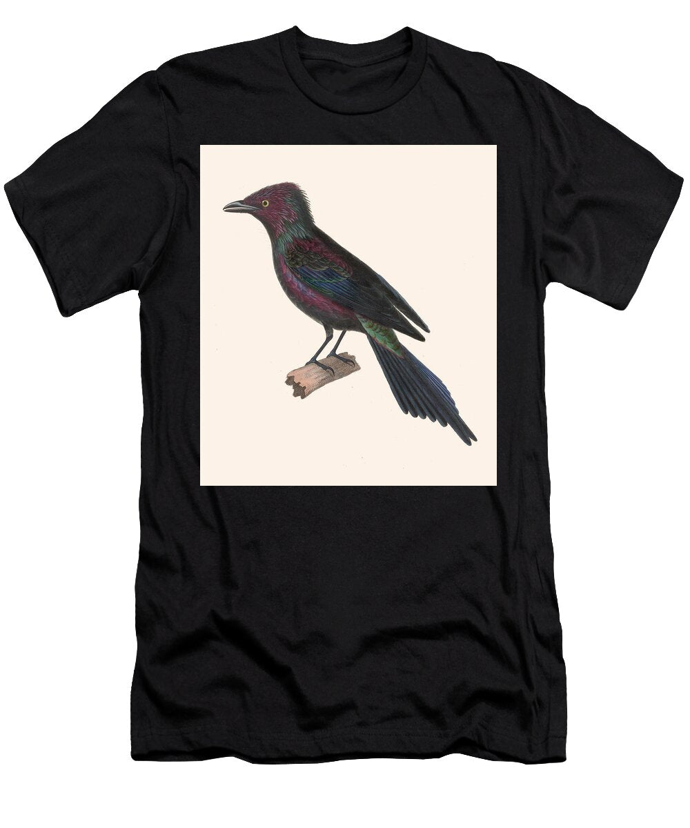 Aplonis Metallica Jean Gabriel Pretre T-Shirt