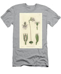 Araignee Orchid Native to South Africa Sydenham Teast Edwards T-Shirt