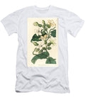 Araujia Graveolens Strong Scented Schubertia Schubertia Graveolens European School T-Shirt