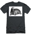 Arctic Walrus From Zoological Lectures Delivered At the Royal Institution in the Years 1806 7 Illust Les Classics T-Shirt