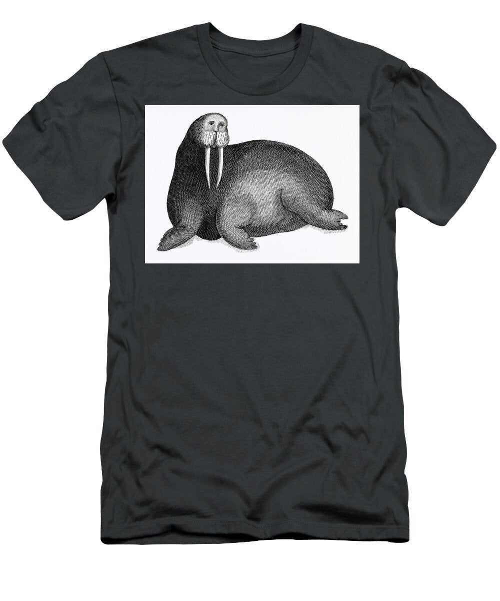 Arctic Walrus From Zoological Lectures Delivered At the Royal Institution in the Years 1806 7 Illust Les Classics T-Shirt