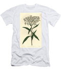 Aster a Umbellata Flat Topped Aster Doellingeria Umbellata Almond Leaved Aster Aster Amygdalinus Sydenham Teast Edwards T-Shirt