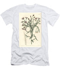 Aster Variete New York Aster Symphyotrichum Dumosum Coris Leaved Starwort Aster Coridifolius Sydenham Teast Edwards T-Shirt