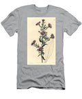 Aster Variete Smooth Aster Symphyotrichum Laeve Glaucous Aster Aster Cyaneus Sydenham Teast Edwards T-Shirt