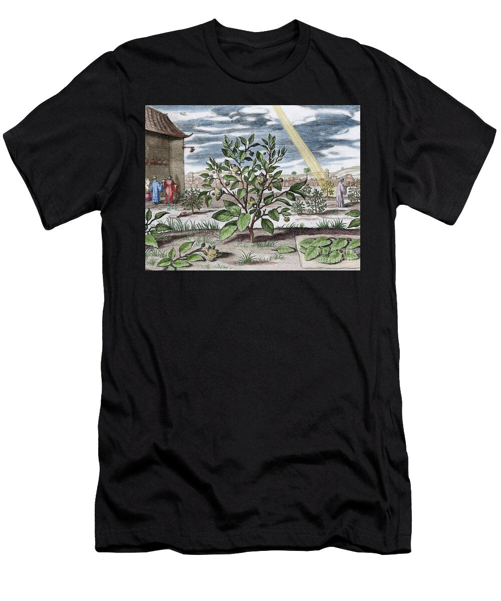 Athanasius Kircher 160116021680 German Jesuit Scholar China Monumentis Qua Sacris Qua Profanis 1667 Tea Plant Unknown Artist T-Shirt