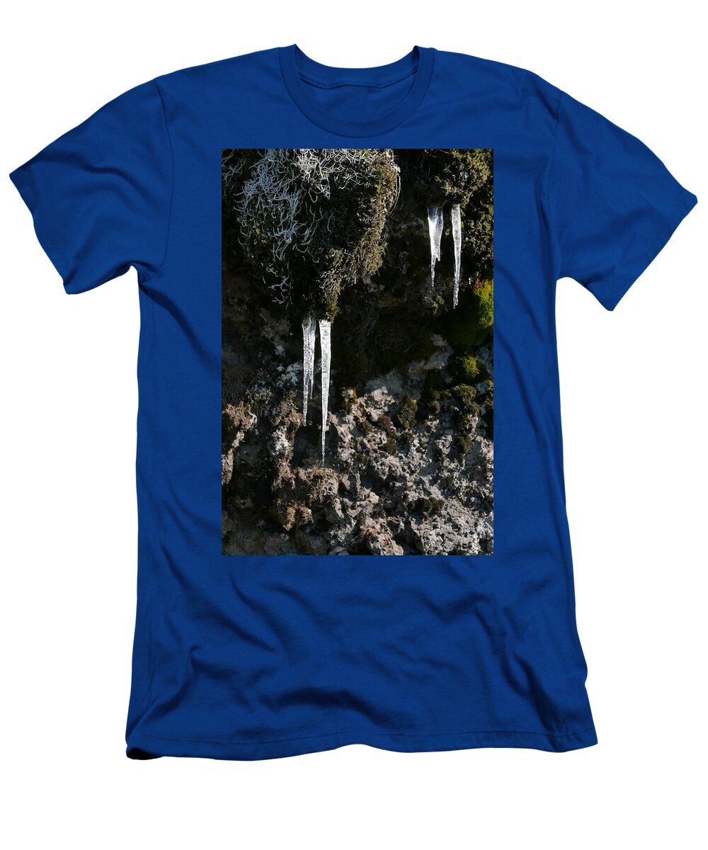 Atop the Dog Cheri Ceridwen T-Shirt