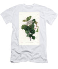 Aubepine or White Thorn Native of North America Sydenham Teast Edwards T-Shirt