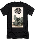 Auricle or Bear Ear Sydenham Teast Edwards T-Shirt