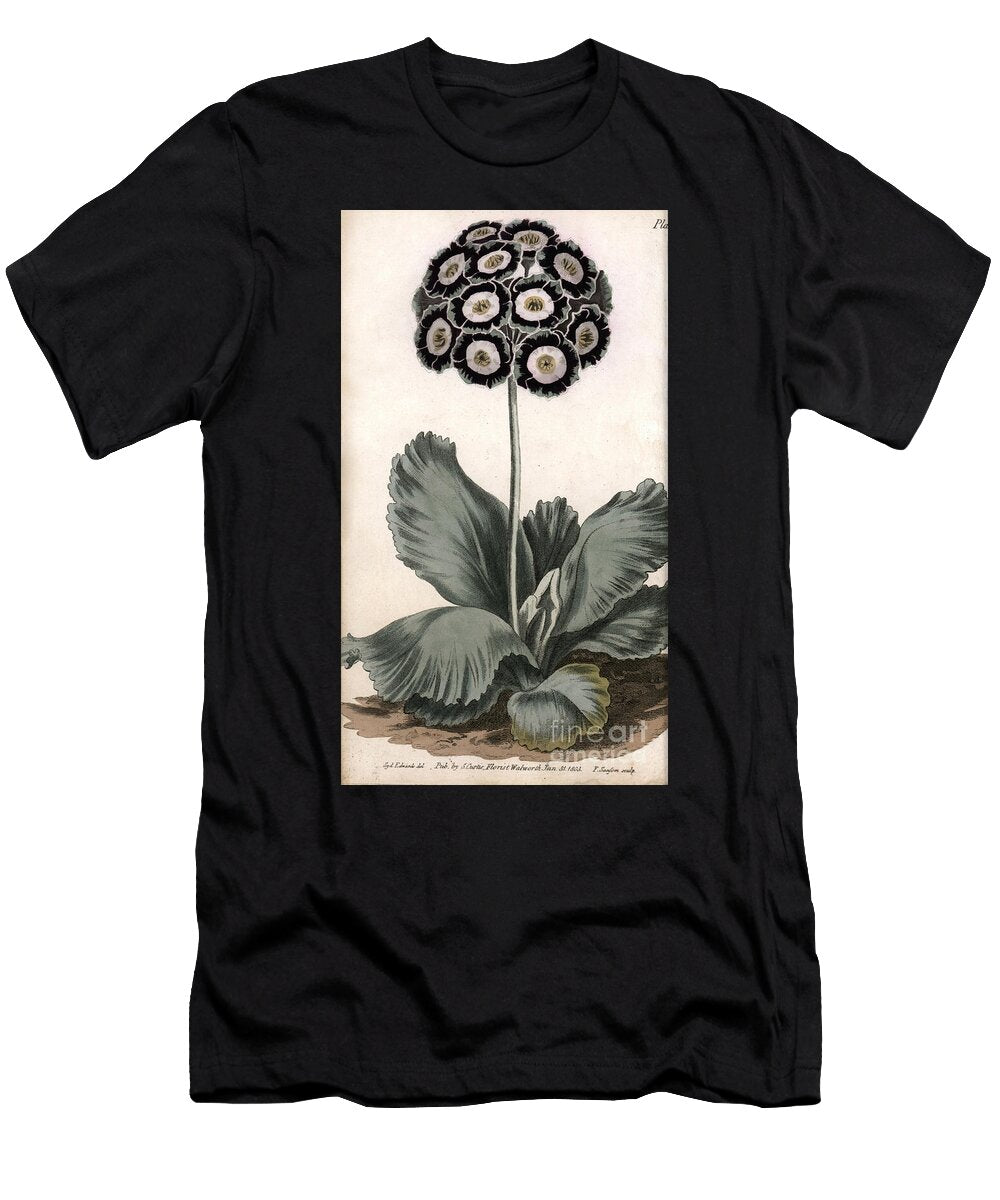 Auricle or Bear Ear Sydenham Teast Edwards T-Shirt