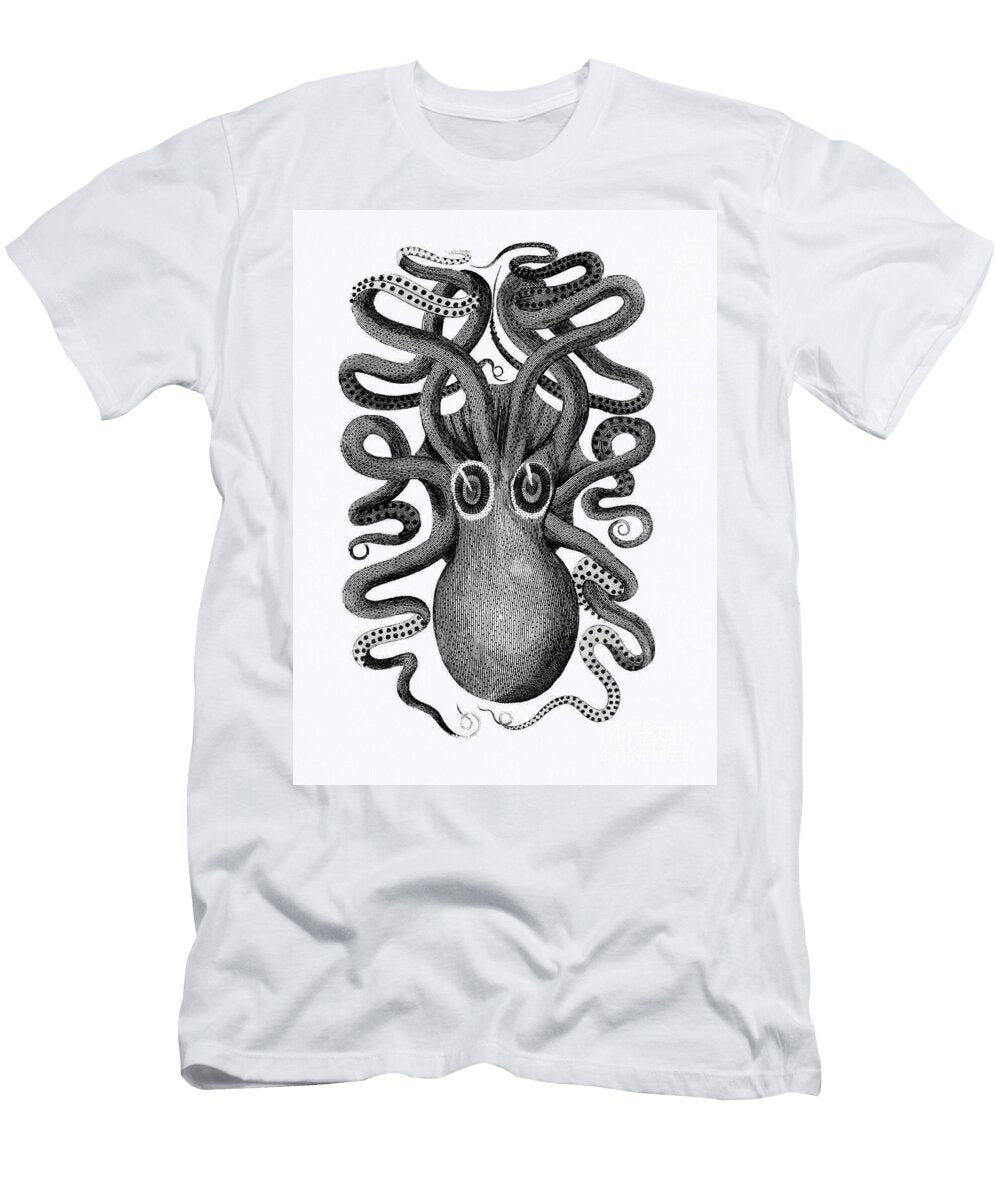 Back Viewed of Eight Armed Cuttlefish From Zoological Lectures Delivered At the Royal Institution in Echo Frame T-Shirt
