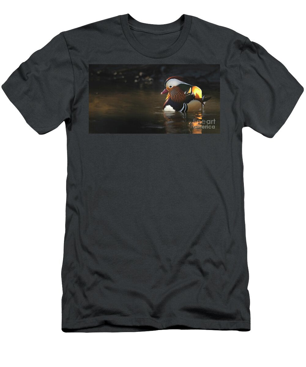 Backlit Mandarin Jami Bollschweiler T-Shirt