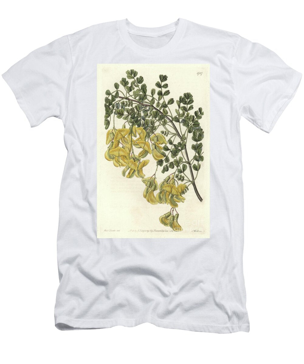 Baguenaudier Du Nepal Sydenham Teast Edwards T-Shirt