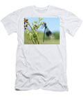 Banded Demoiselle Damselfly Male Eating a Green Drake Nick Upton Natureplcom T-Shirt