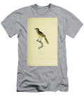 Bar Throated Minla India 1843 R1 Historic Illustrations T-Shirt