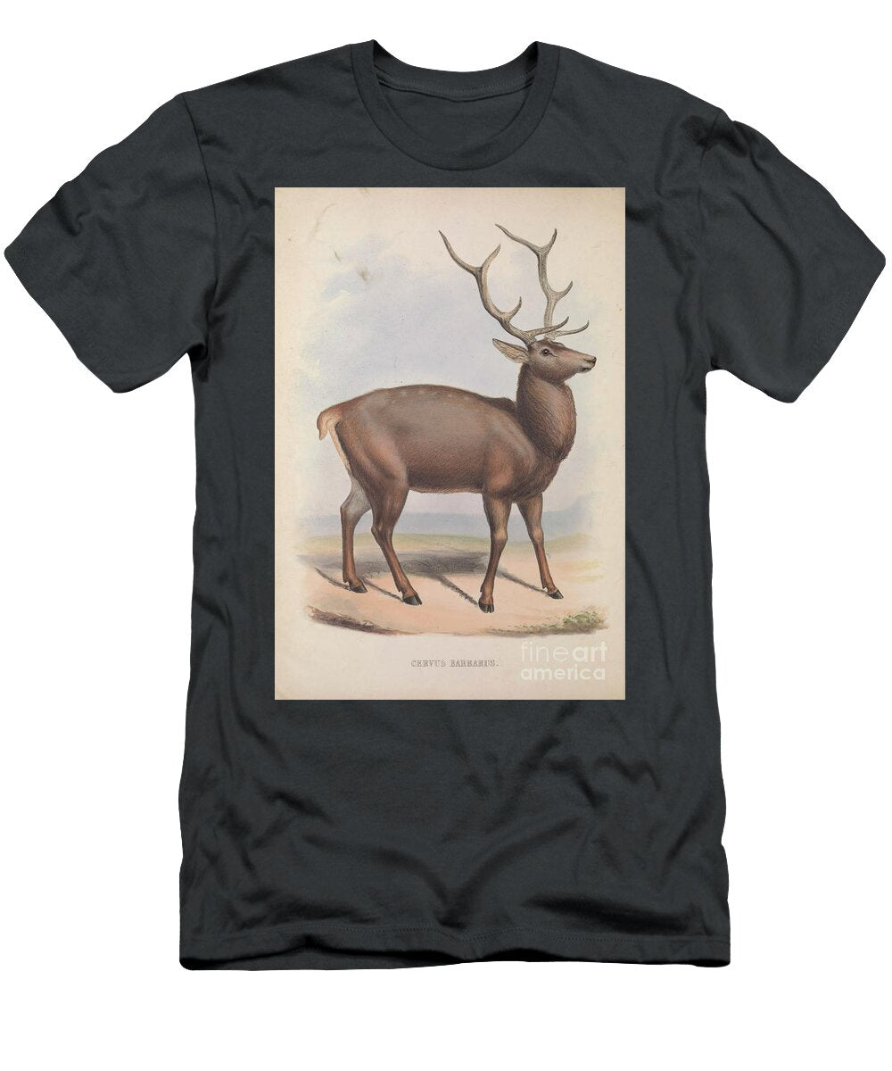Barbary Stag Cervus Elaphus Barbarus Q1 Humorous Quotes T-Shirt