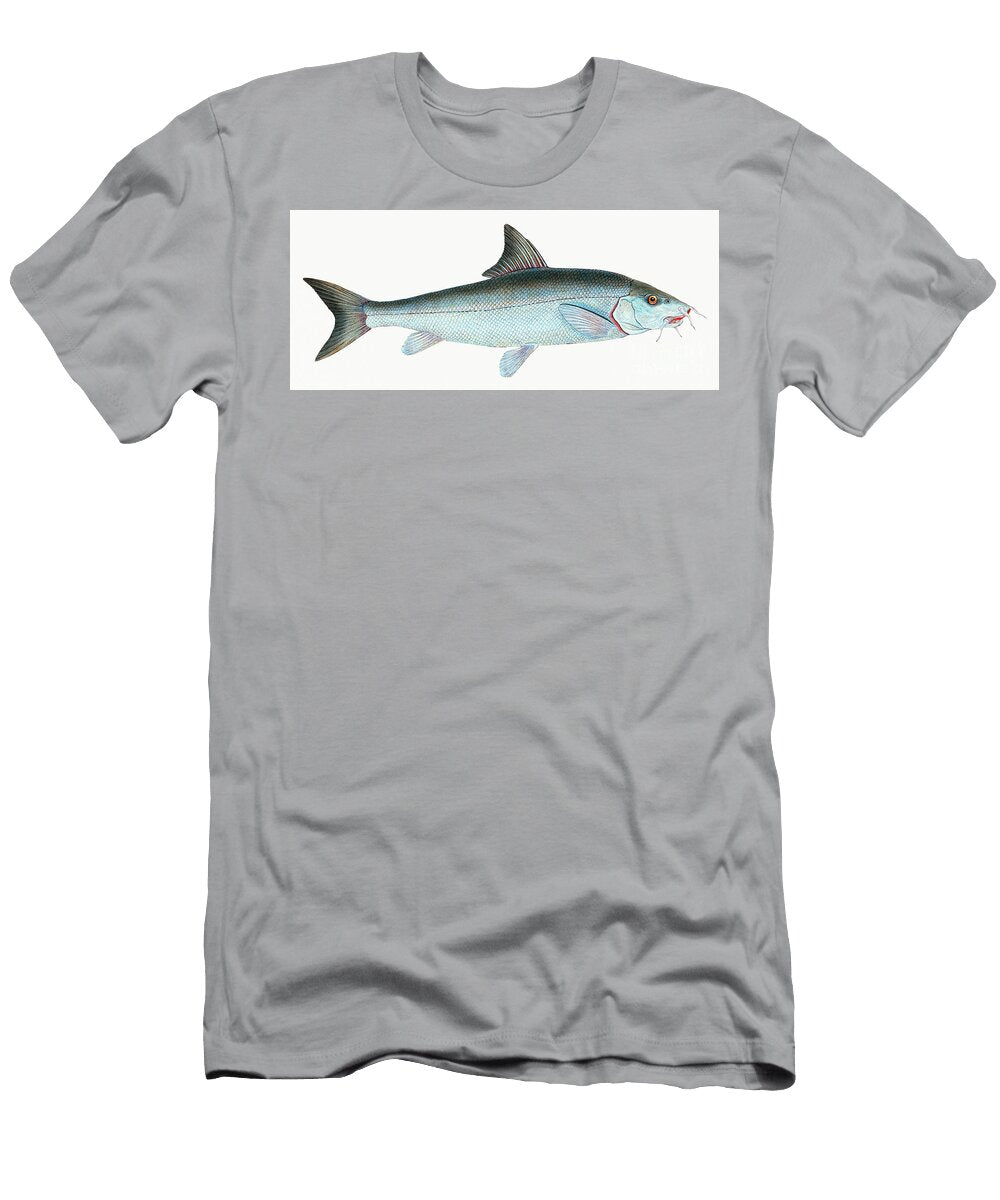 Barbel Cyprinus Barbus Illustration From the Natural History of British Fishes 1802 By Edward Do Edward Donovan T-Shirt