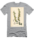 Barberry Crowberry Leaved Berberry Berberis Empetrifolia European School T-Shirt