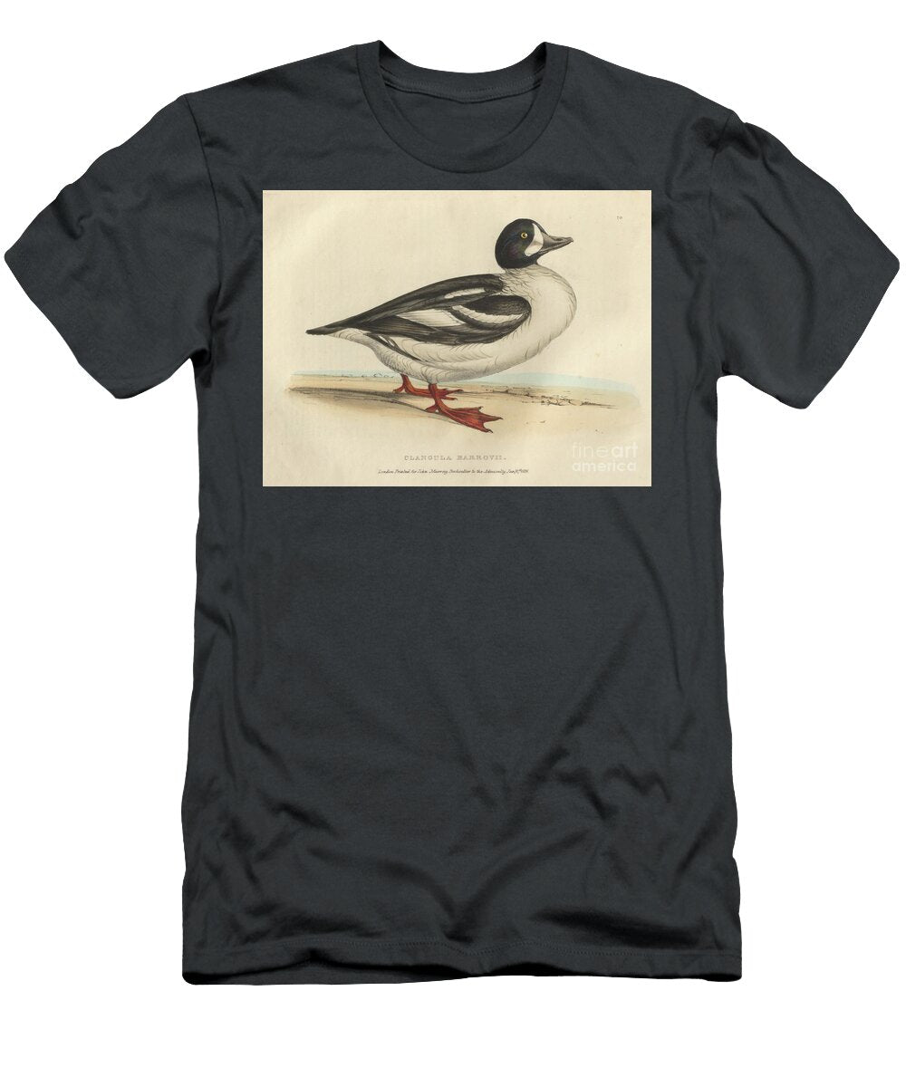 Barrows Duck Clangula Barrovii O1 Historic Illustrations T-Shirt
