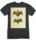Bat of South America U1 Historic Illustrations T-Shirt