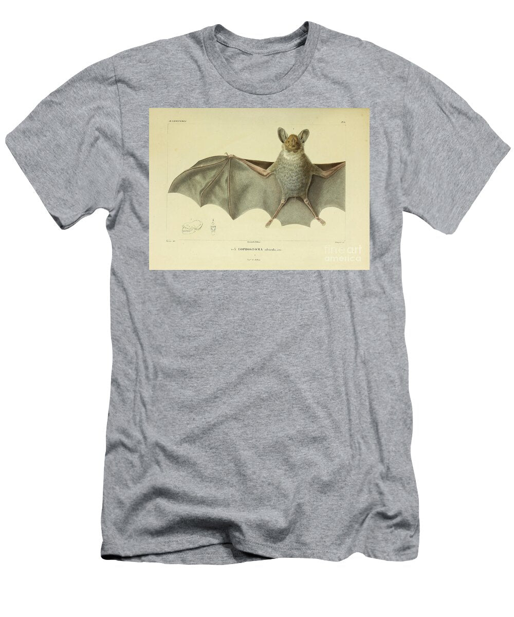 Bat of South America U4 Historic Illustrations T-Shirt