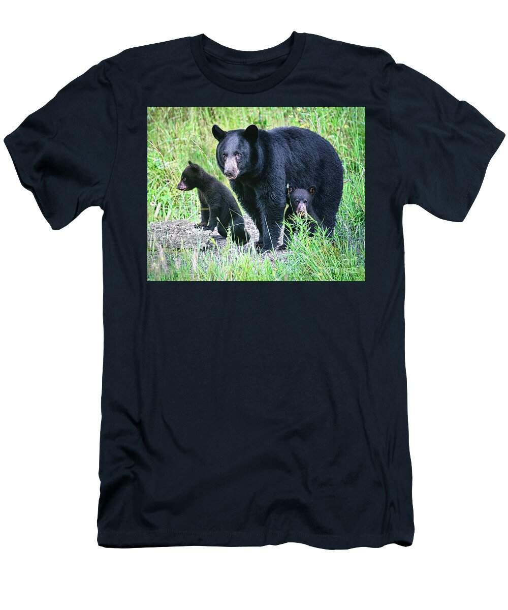 Bear Family Timothy Flanigan T-Shirt