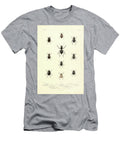 Beetles of South America T Historic Illustrations T-Shirt