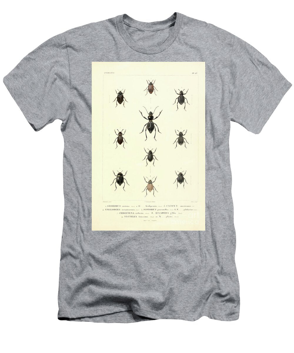 Beetles of South America T Historic Illustrations T-Shirt