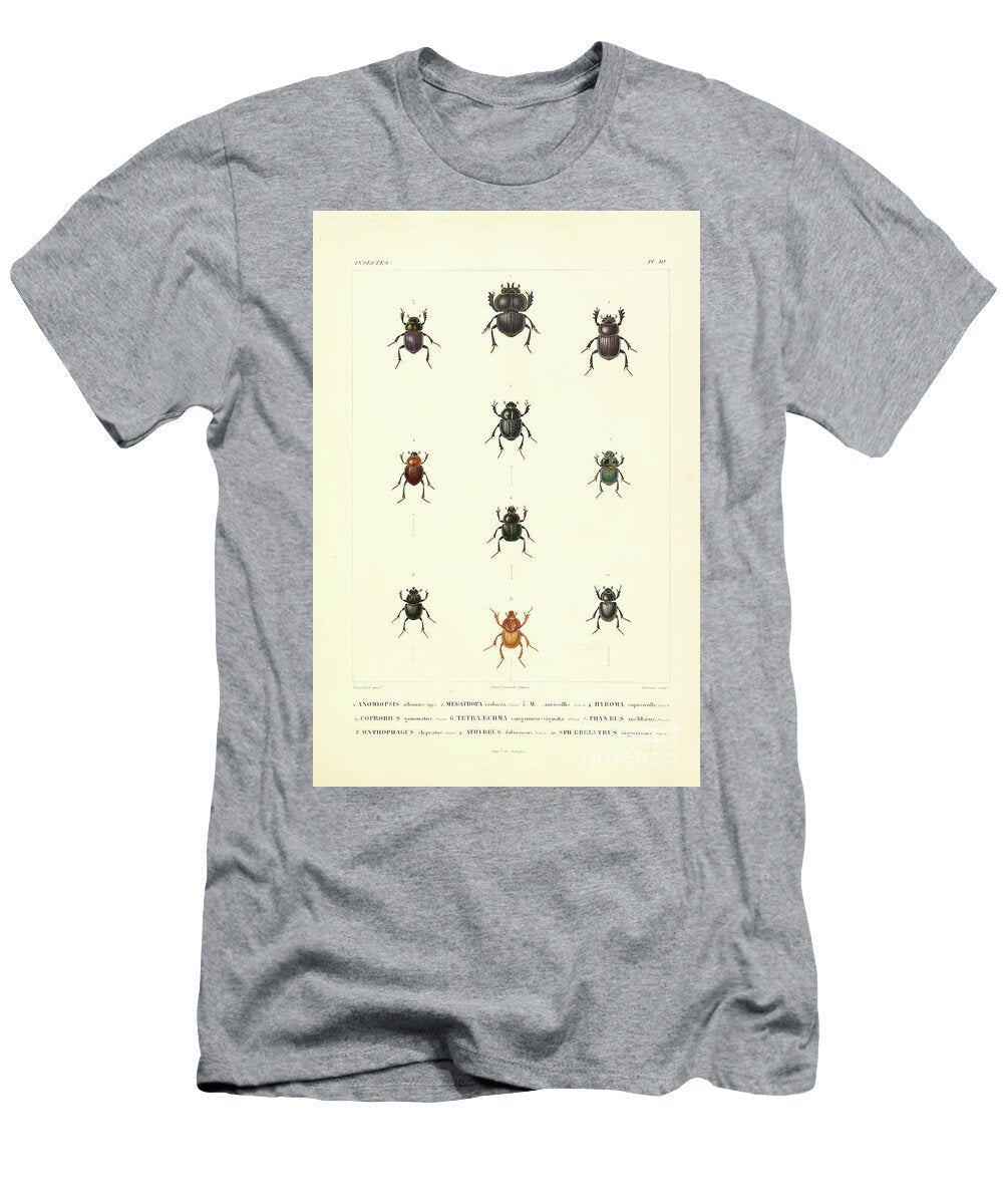 Beetles of South America T1 Historic Illustrations T-Shirt