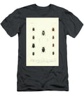Beetles of South America T2 Historic Illustrations T-Shirt