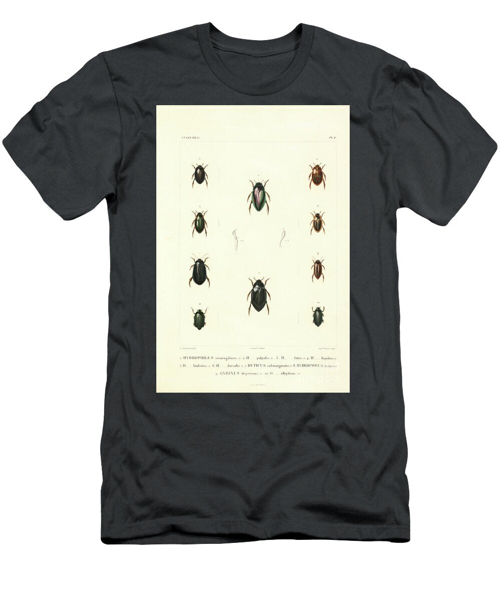 Beetles of South America T2 Historic Illustrations T-Shirt