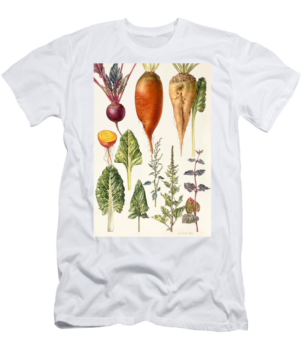 Beetroot and Other Vegetables Wc Elizabeth Rice T-Shirt