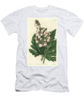 Begonia Has Pale Pink Flowers Native to Mexico Sydenham Teast Edwards T-Shirt