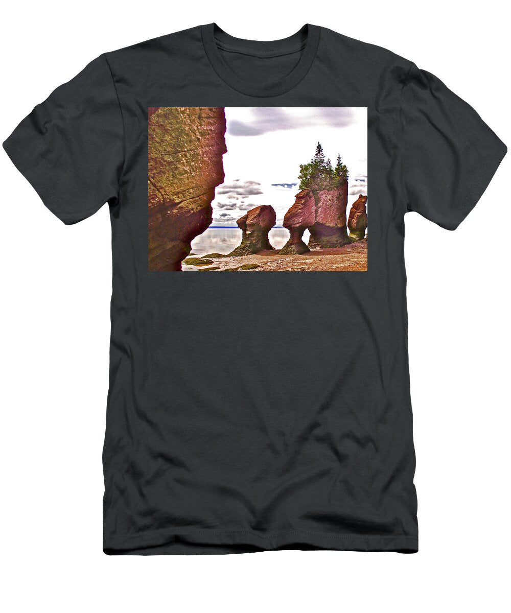 Big Daddy Rock Lectures His Family At Hopewell Rocks By Bay of Fundy New Brunswick Ruth Hager T-Shirt