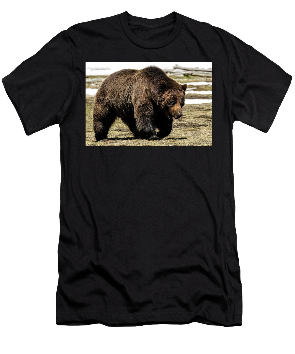 Big Snaggletooth on a Walk Yeates Photography T-Shirt