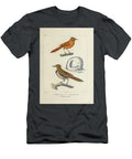 Bird Nest of South America 1835 U1 Historic Illustrations T-Shirt