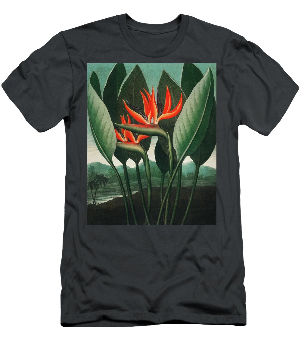 Bird of Paradise Robert John Thornton T-Shirt