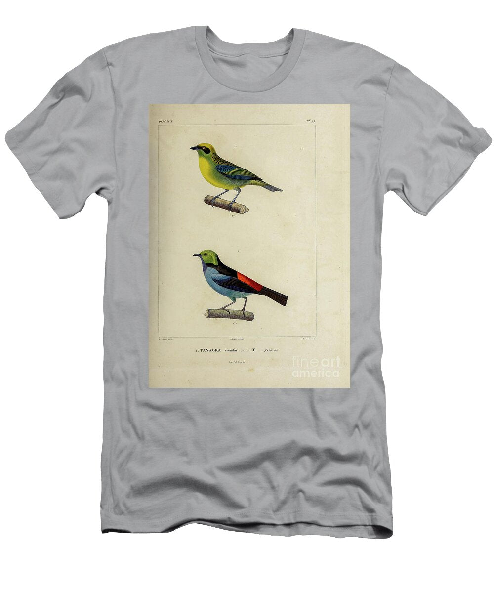 Birds of South America 1835 U2 Historic Illustrations T-Shirt