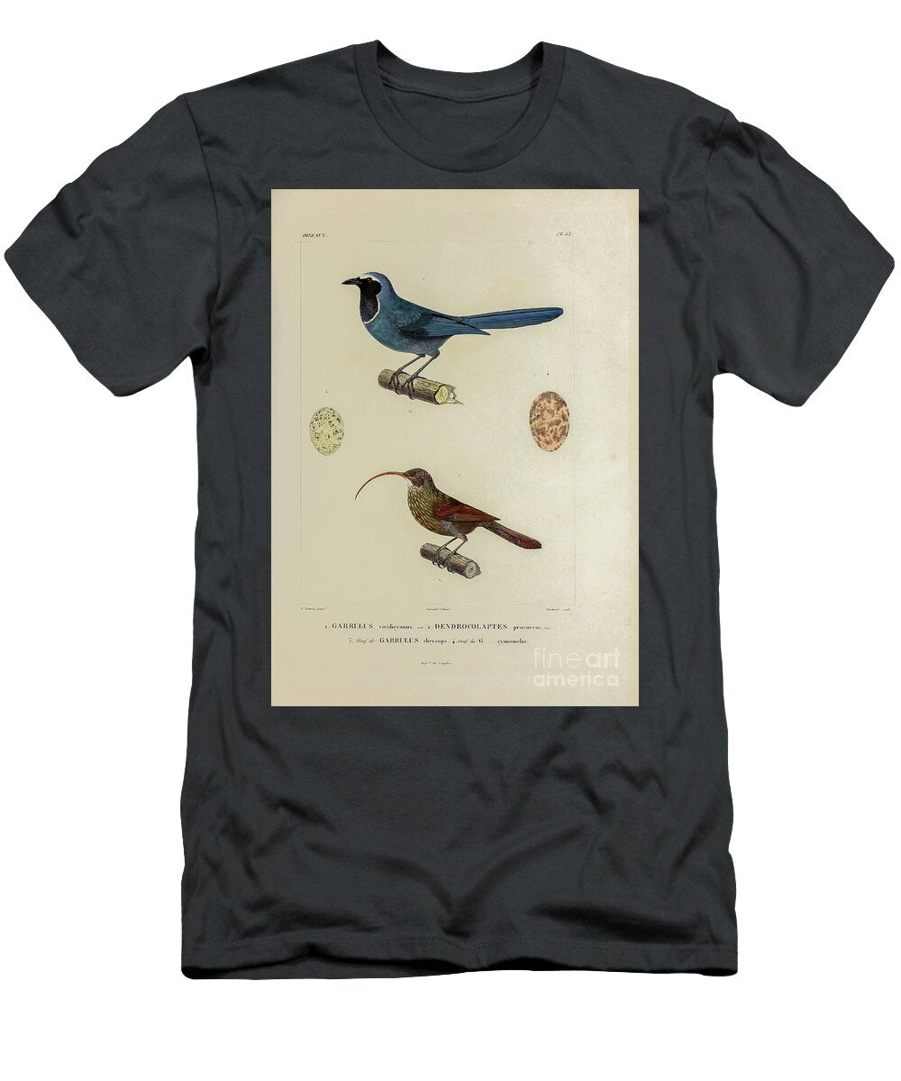Birds of South America 1835 U5 Historic Illustrations T-Shirt