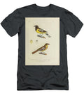 Black Backed Grosbeak 1835 U1 Historic Illustrations T-Shirt