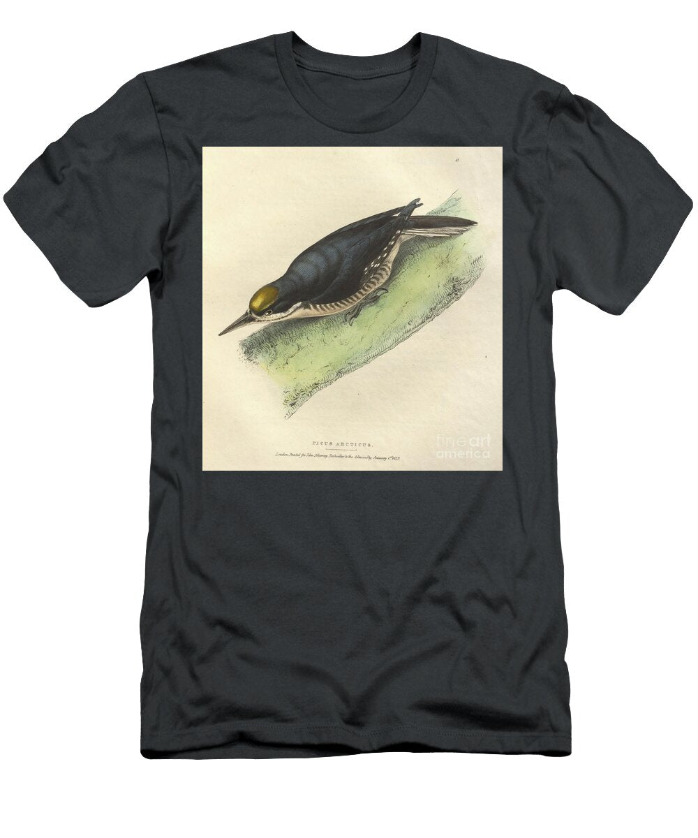 Black Backed Woodpecker Picoides Arcticus O1 Historic Illustrations T-Shirt