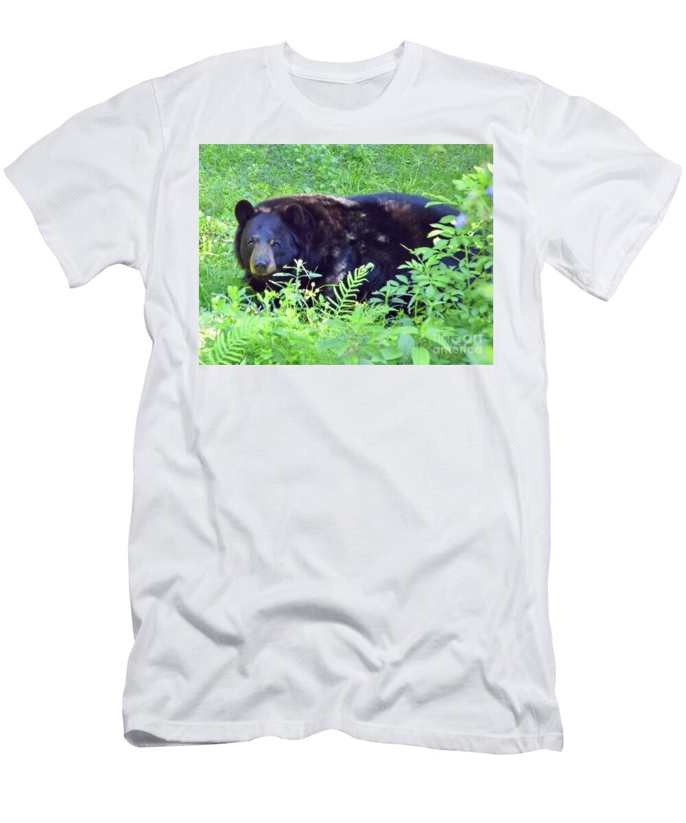 Black Bear Florida D Hackett T-Shirt