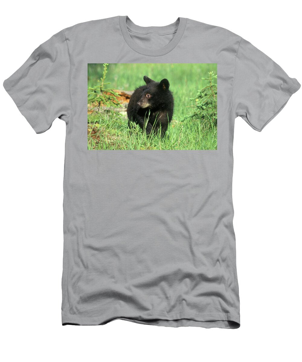 Black Bear Ursus Americanus Cub Animal Images T-Shirt
