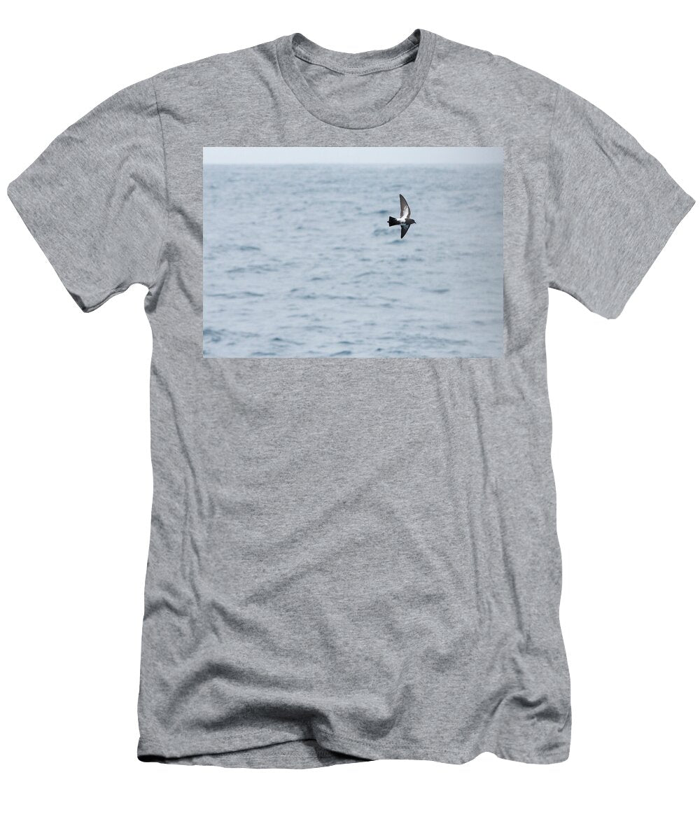 Black Bellied Storm Petrel in Flight Over Drake Passage Ashley Cooper Natureplcom T-Shirt